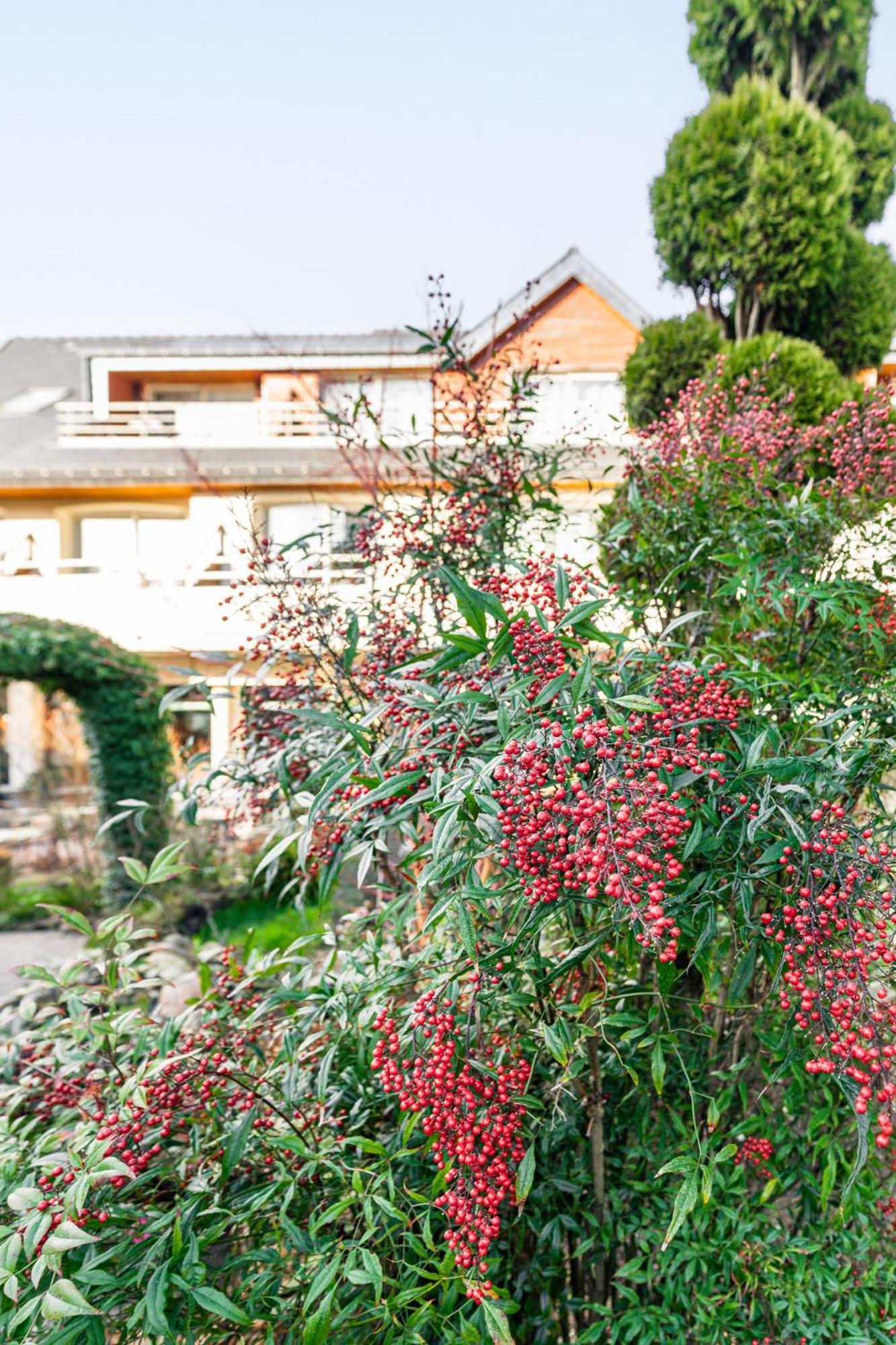 Logis L'Auberge - Maison Glenn Anna Sainte-Anne-d'Auray ภายนอก รูปภาพ